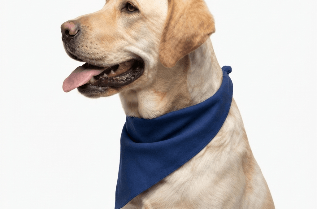Cooling bandanas for hot weather providing neck cooling relief