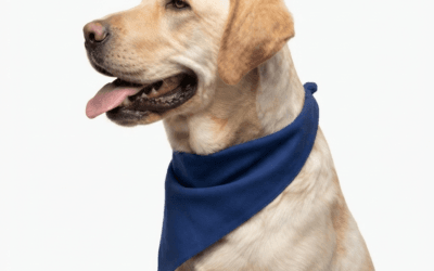 How Cooling Bandanas Provide Instant Relief During Hot Weather