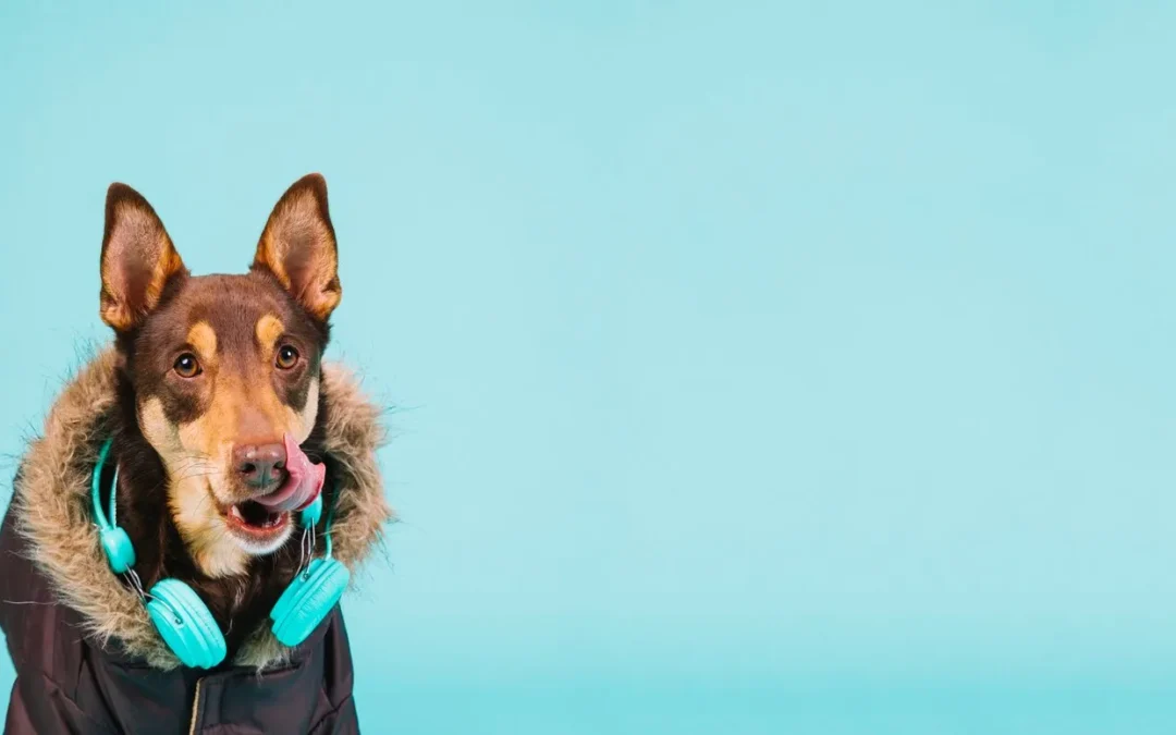 cooling-for-dog