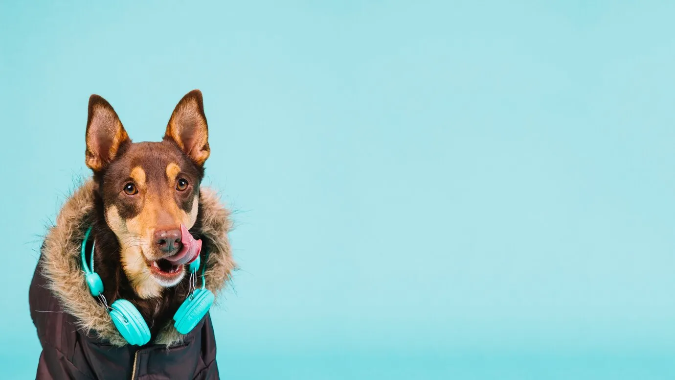 cooling-for-dog