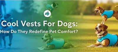 Cool Vests For Dogs: How Do They Redefine Pet Comfort?