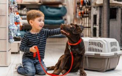 How Cooling Mats Help Pets Stay Comfortable During Hot Summer Months