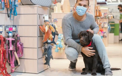 Smart Cooling for Shipping and Pet Comfort Needs