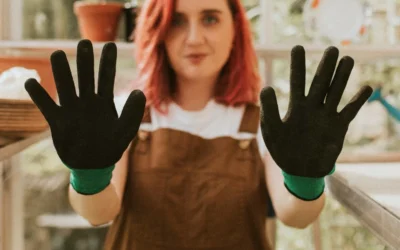 Stay Cool & Comfortable with Dog Gear and Recovery Tools