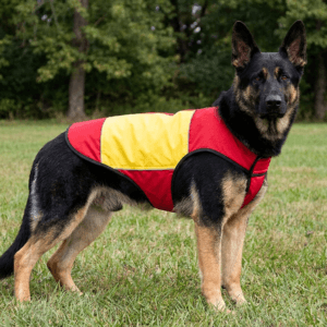 CoolMor™ Dog Cooling Vest