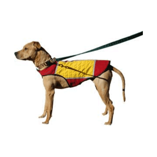 Dog Cooling Vest